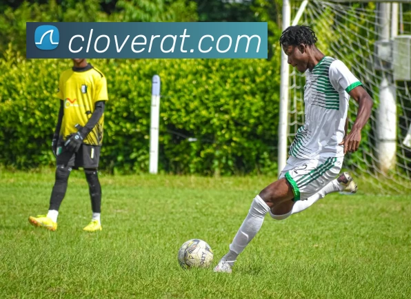 开云app品牌故事