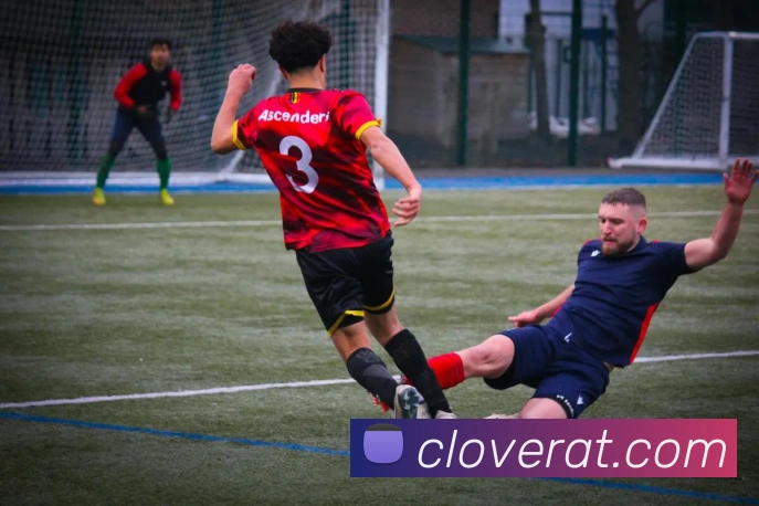 开云app服务体系